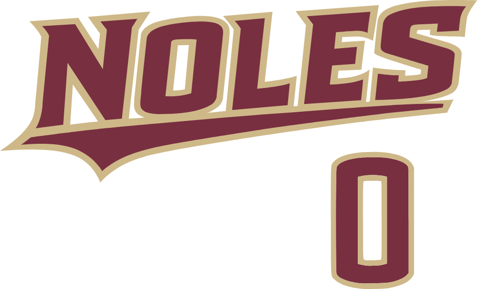 Noles Baseball Shirsey